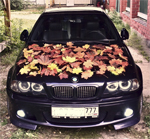 Аватара пользователя