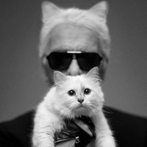 Аватара пользователя