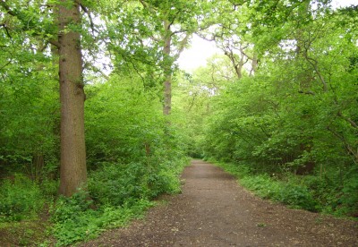 Big_Wood,_N2.JPG