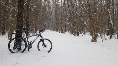 20181206_094836.jpg