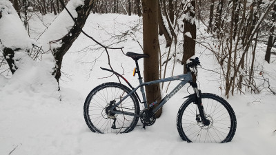 20181230_085939.jpg