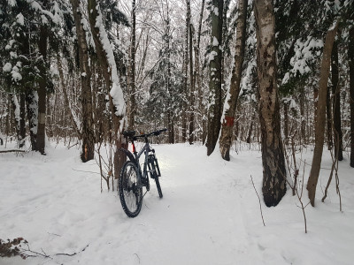 20181230_085321.jpg