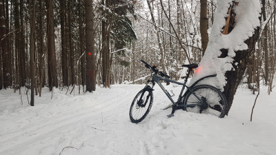 20190101_100338.jpg