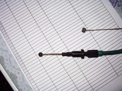 IMGP7897-.jpg