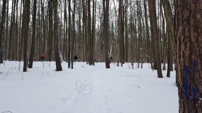 20190303_142959.jpg
