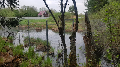 20190510_141937.jpg