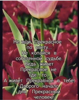 IMG-20190919-WA0003.jpg