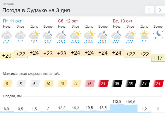 Судзука.JPG