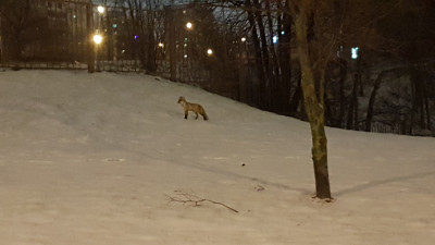 20200126_224254.jpg
