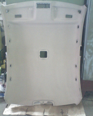 BMW потолок.JPG