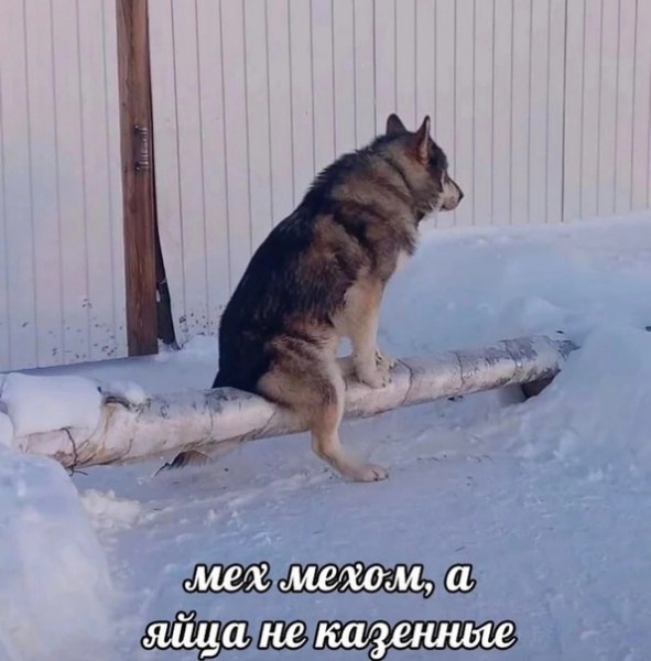 ziUCeYiTqJ0.jpg
