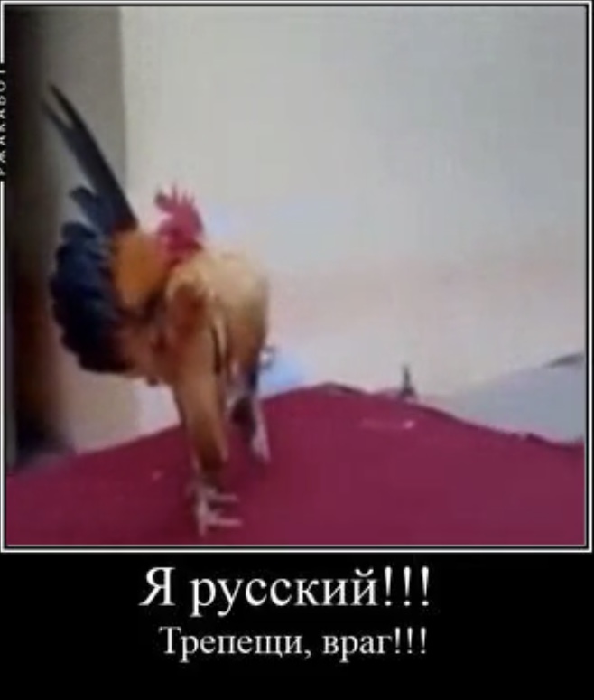 1C01A76B-8686-4F68-AA5A-927E13675134.jpeg