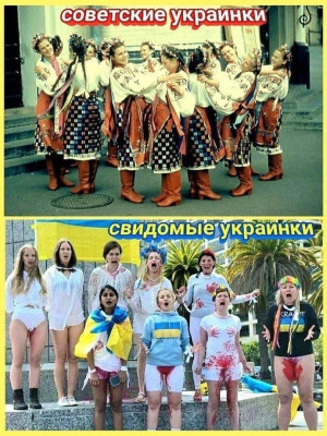 hWVhfv9PZVM.jpg