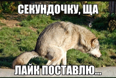 2Tvhwz_3lJw.jpg