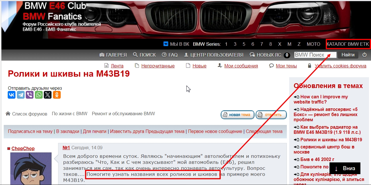 Скриншот 09-11-2025 170300.jpg