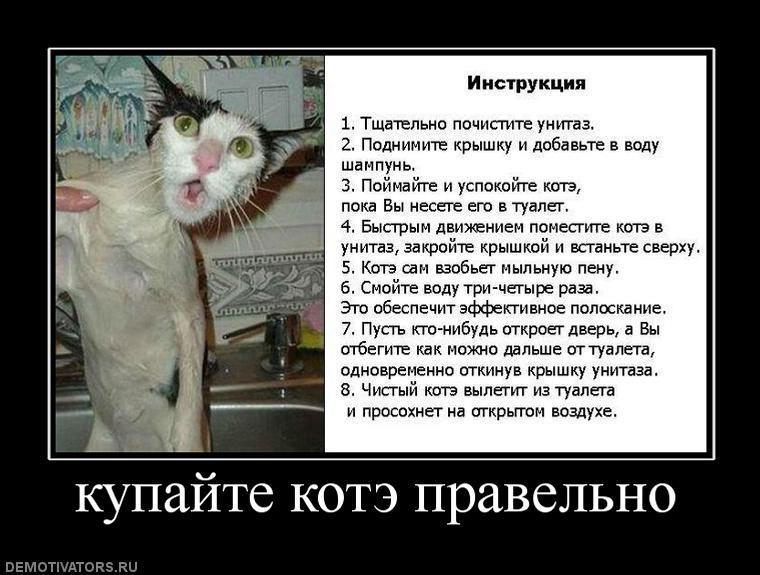 137015 kupajte-kote-pravelno