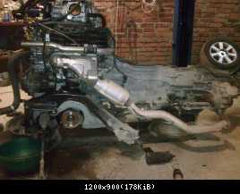 Фото эльгр.jpg