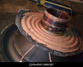 какоето китайское гоуно.jpg