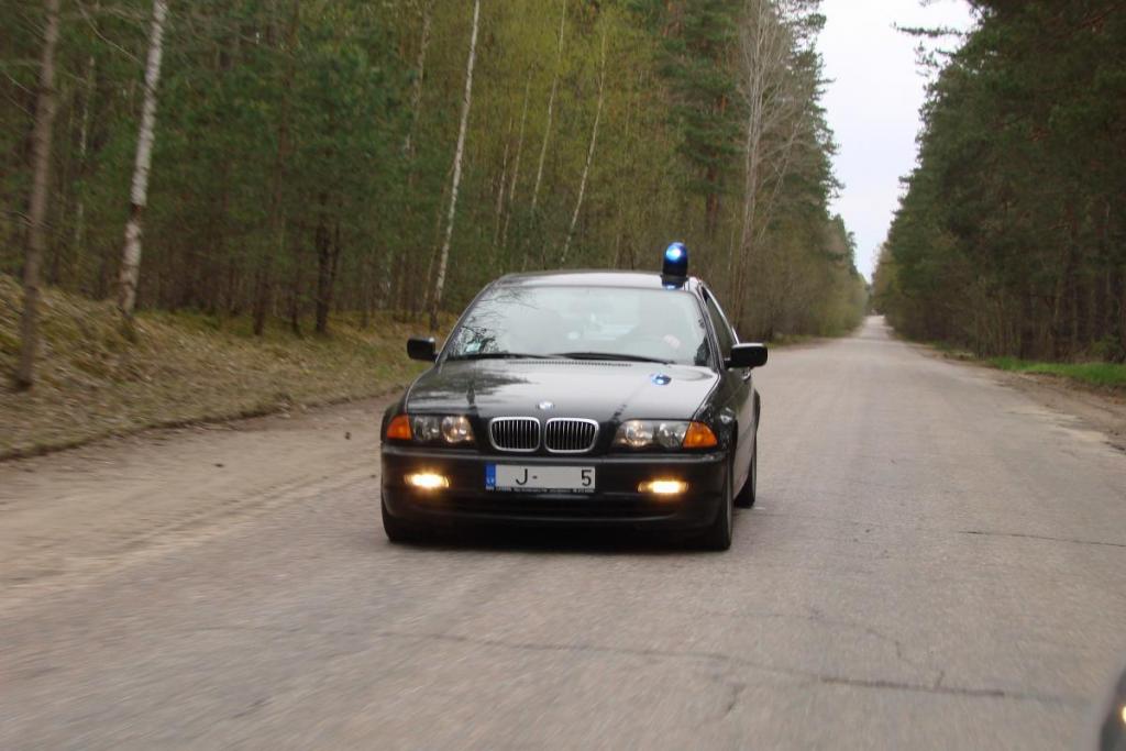Ласточка