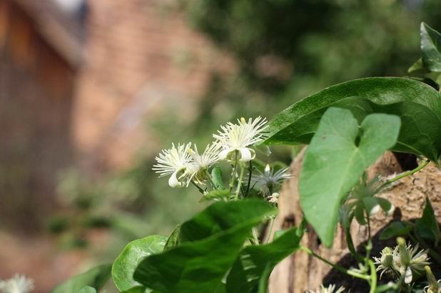 Resize of IMG 5489 1