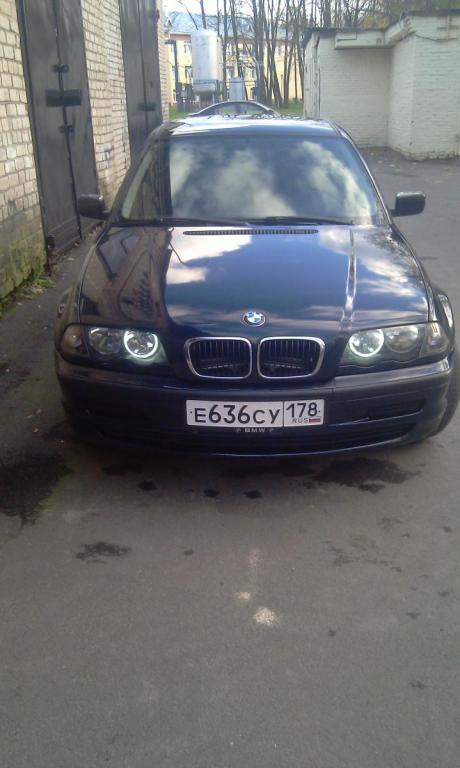 IMAG0135