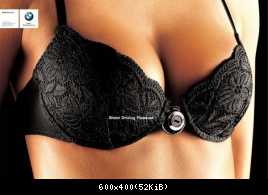 bmw-motorrad-bra-small-26474