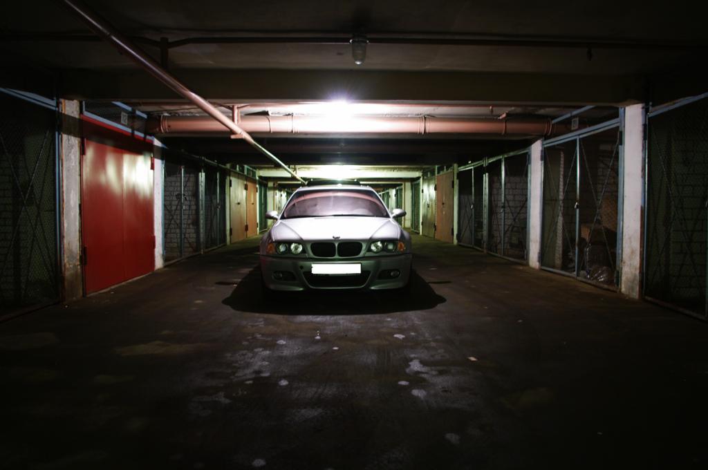 Моя ласточка