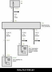 Схема лягушки