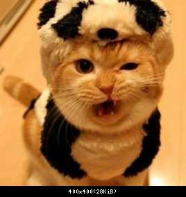 я пля панда!!!