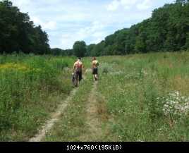 русские пройдут