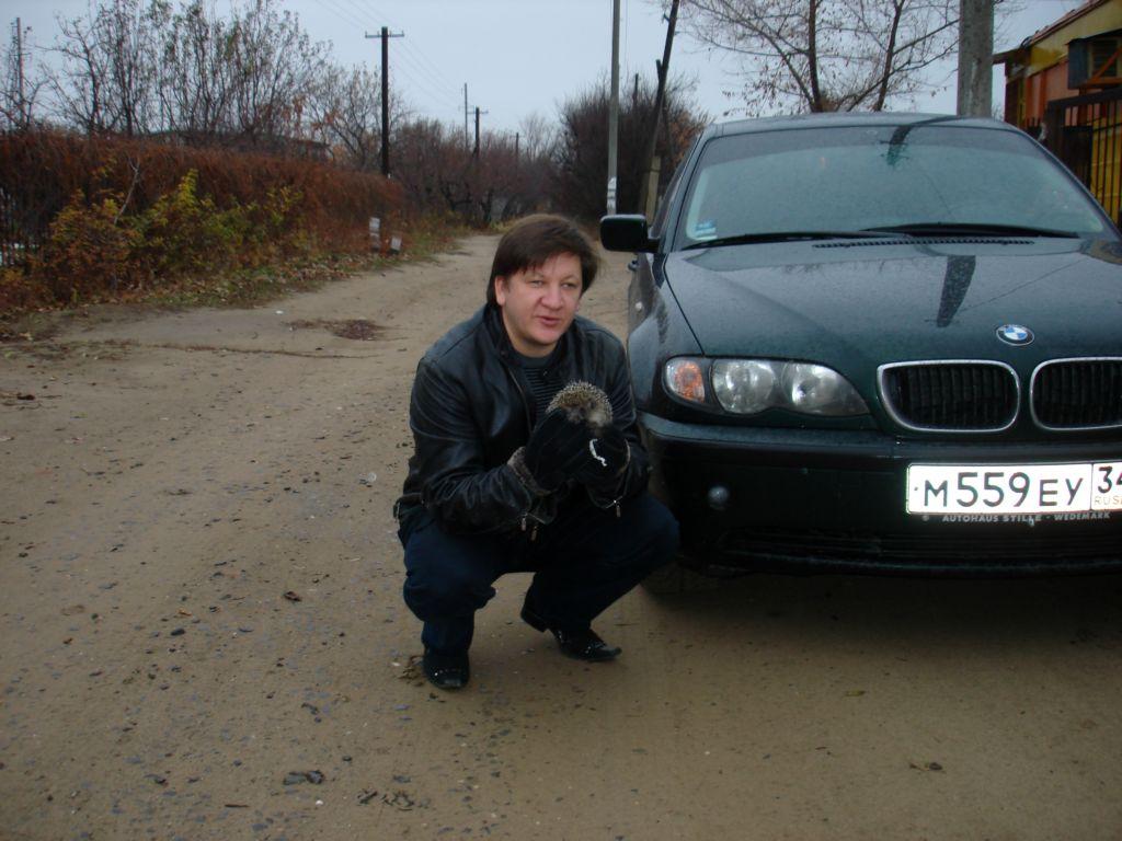 Ёжик_