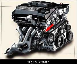 user126246 pic2709 1232917241