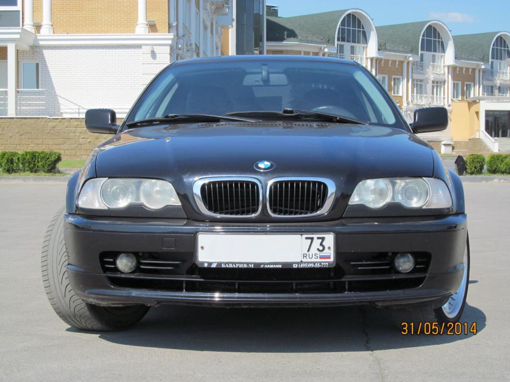 IMG 0254+