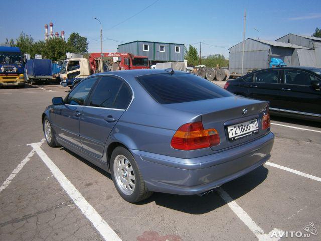 816376031