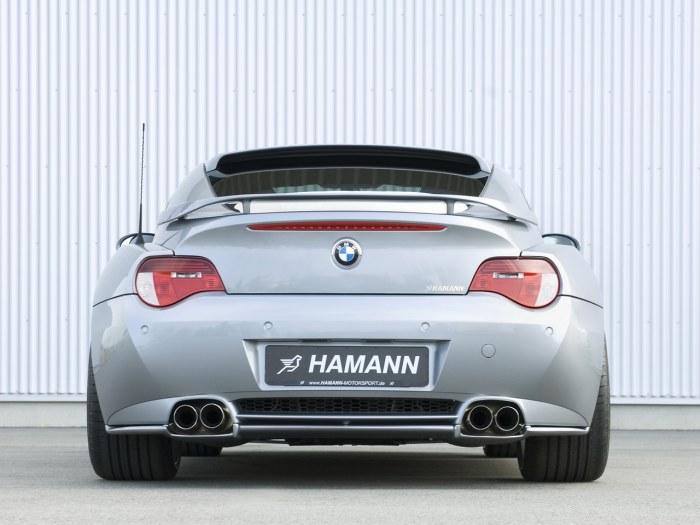 hamann_z4