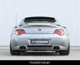 hamann_z4