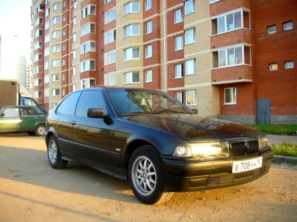 бывший конь 2