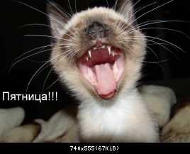 Пятницаааааааааааааааааааааааааааааа!!!!