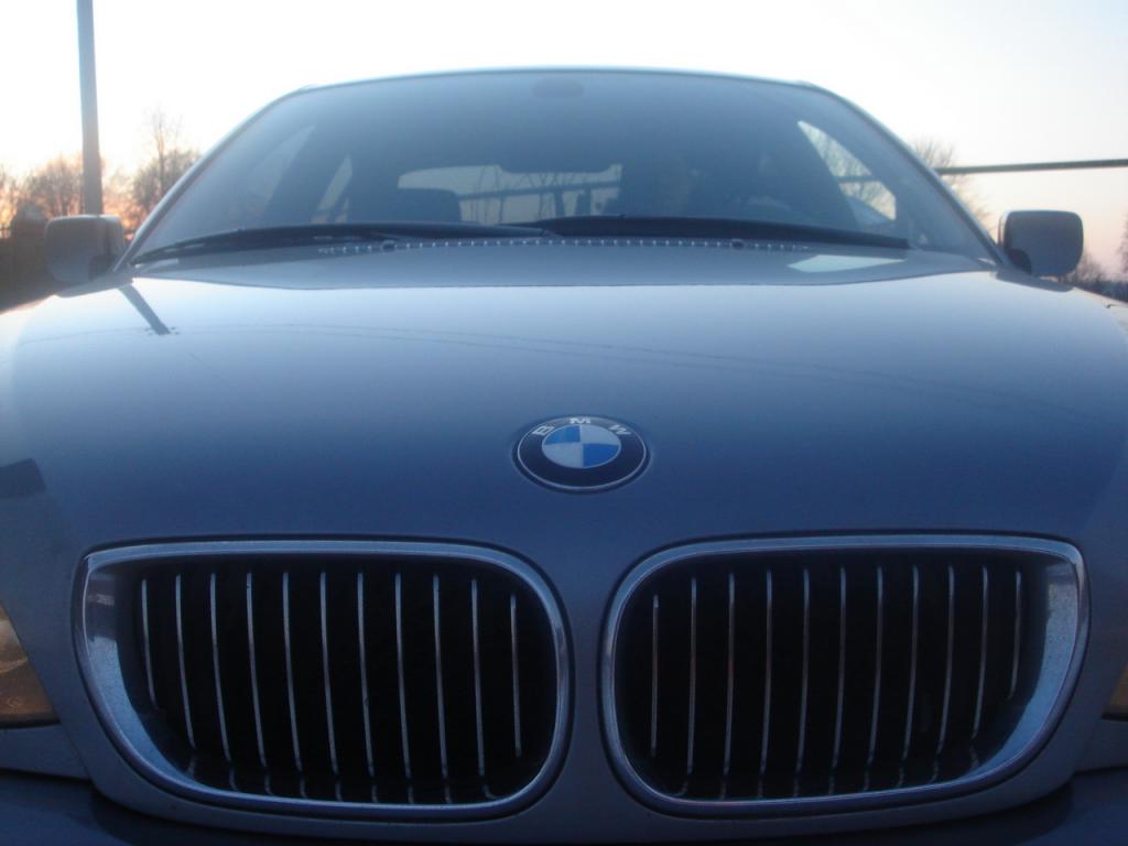 sancho bimmer 4