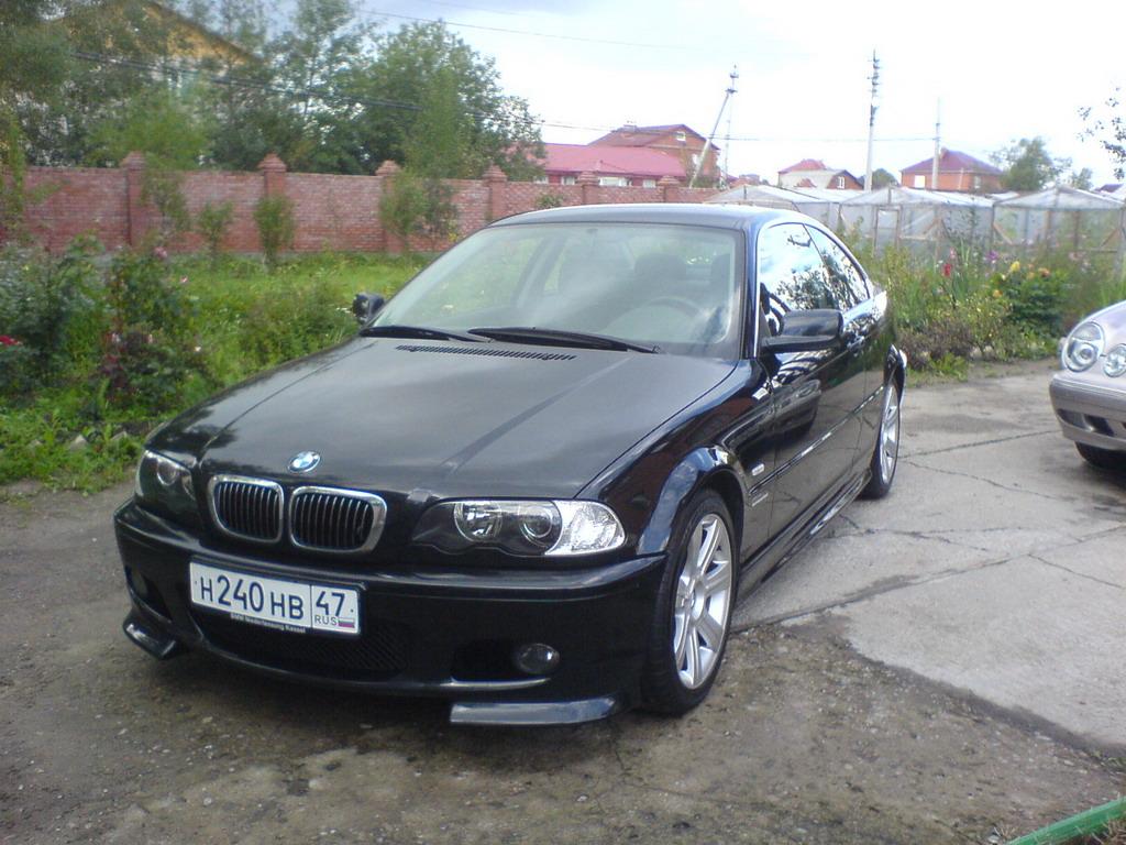 Моя красотка